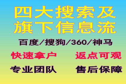 揭秘SEM代运营的成功要素与策略