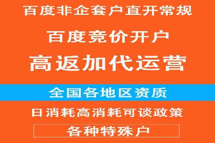 百度竞价排名案例分析：提升网站流量与转化率